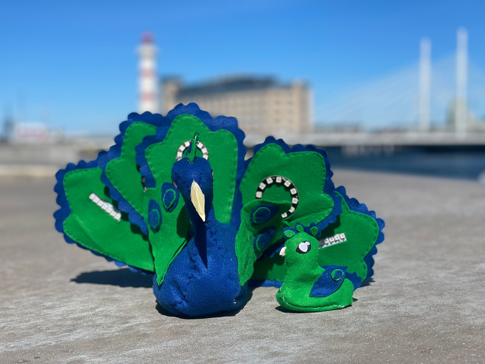 peacock_and_chick